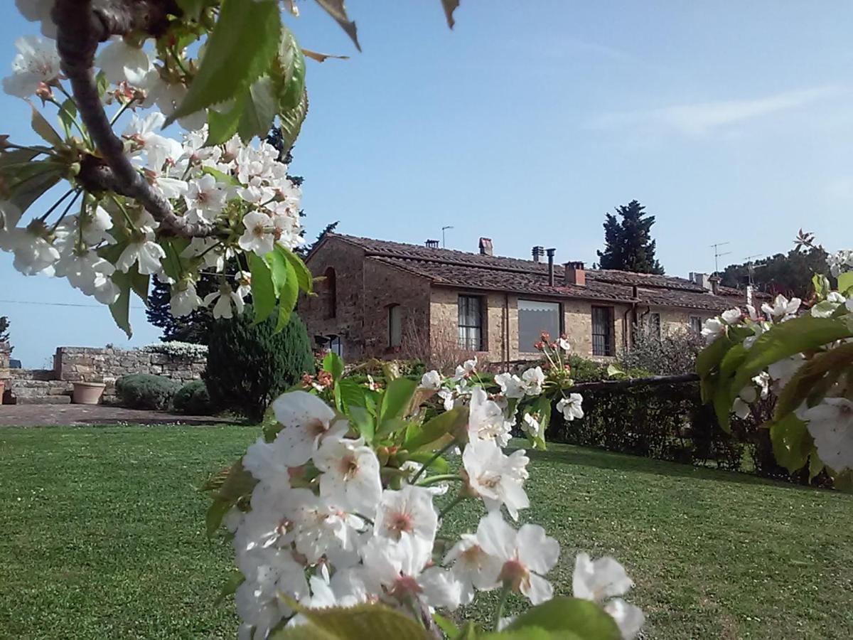 Gasthaus Torre Di Ponzano Barberino di Val dʼElsa Exterior foto